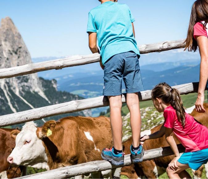 Madonna di Campiglio Family Friendly